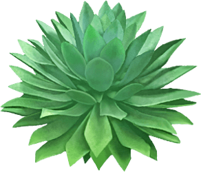 OLOE Shake - Cartoon Plant-Based Ingredient Images - Organic Agave