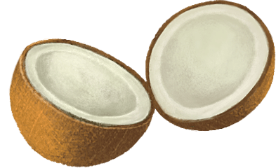 OLOE Shake - Cartoon Plant-Based Ingredient Images - Organic Coconut