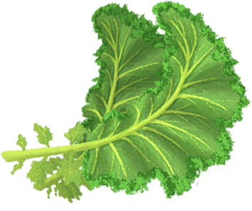 OLOE Shake - Cartoon Plant-Based Ingredient Images - Organic Kale
