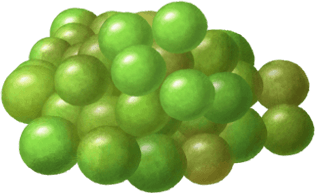OLOE Shake - Cartoon Plant-Based Ingredient Images - Organic Peas