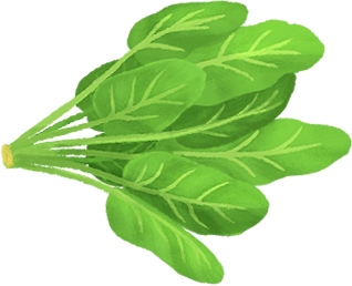 OLOE Shake - Cartoon Plant-Based Ingredient Images - Organic Spinach