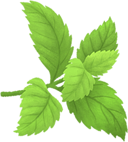 OLOE Shake - Cartoon Plant-Based Ingredient Images - Organic Stevia
