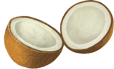 oloe-shake-cartoon-plant-based-ingredient-images-organic-coconut
