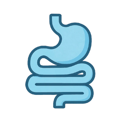 DIGESTION