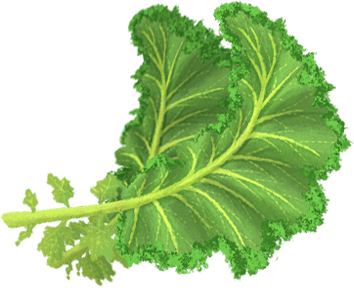 oloe-shake-cartoon-plant-based-ingredient-images-organic-kale