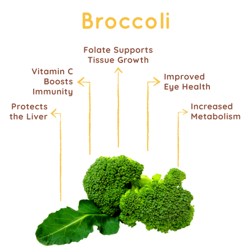 Organic Broccoli
