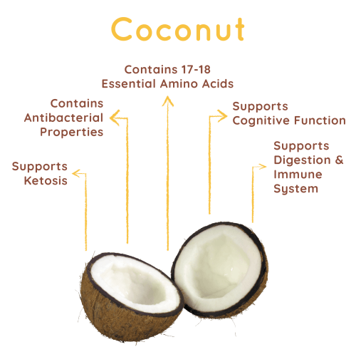 Organic Coconut