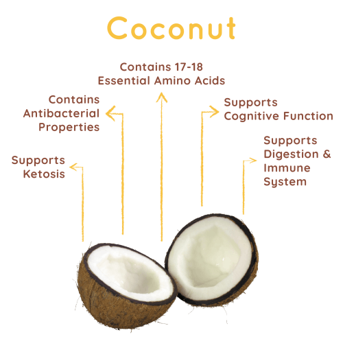 OLOE Shake - Key Plant-Based Ingredient Highlights - Organic Coconut