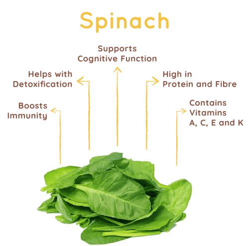 OLOE Shake - Key Plant-Based Ingredient Highlights - Organic Spinach