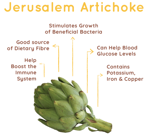 oloe-shake-ingredient-highlights-jerusalem-artichoke