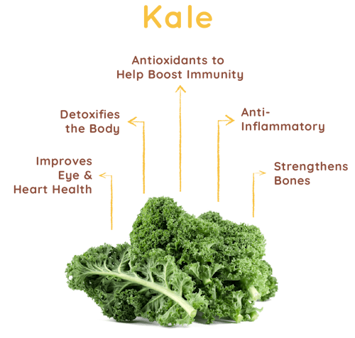 oloe-shake-ingredient-highlights-kale