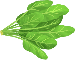oloe-shake-cartoon-plant-based-ingredient-images-organic-spinach