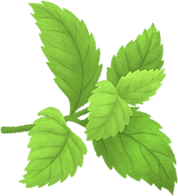 oloe-shake-cartoon-plant-based-ingredient-images-organic-stevia